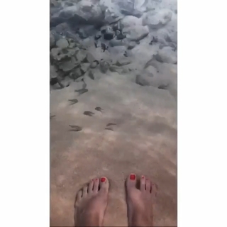 Letícia Lima feet photo 9