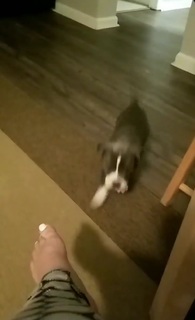 Letícia Navas feet photo 15