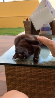 Letícia Spiller feet photo thumbnail