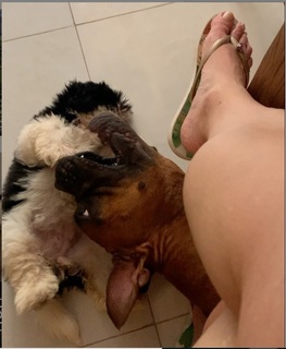 Letícia Spiller feet photo thumbnail