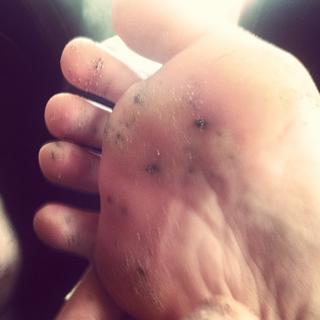 Leven Rambin feet photo thumbnail