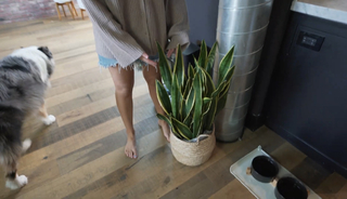 Lexi Hensler feet photo 6