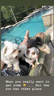 Lexi Kaufman feet photo thumbnail