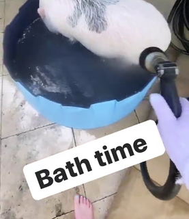 Lexi Kaufman feet photo thumbnail