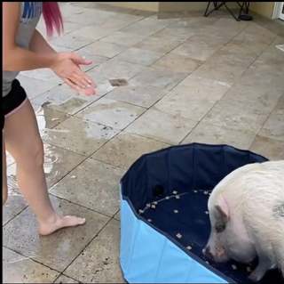 Lexi Kaufman feet photo thumbnail