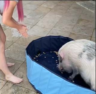 Lexi Kaufman feet photo thumbnail