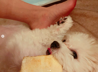 LiSA feet photo thumbnail