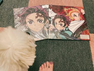 LiSA feet photo thumbnail