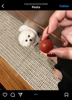 LiSA feet photo thumbnail