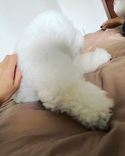 LiSA feet photo thumbnail