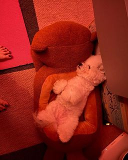 LiSA feet photo thumbnail