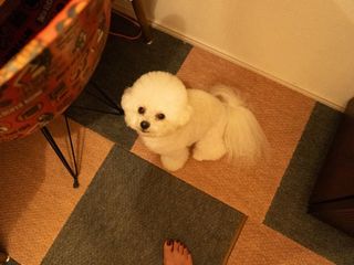 LiSA feet photo thumbnail