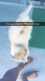 Liane Valenzuela feet photo thumbnail