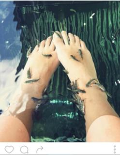 Liane Valenzuela feet photo thumbnail