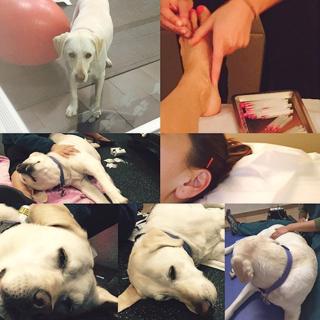 Liberte Chan feet photo thumbnail