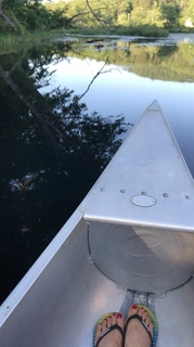 Liberte Chan feet photo thumbnail