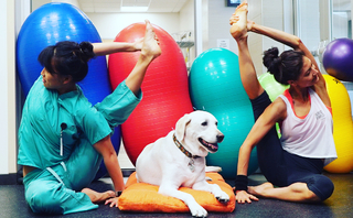 Liberte Chan feet photo thumbnail