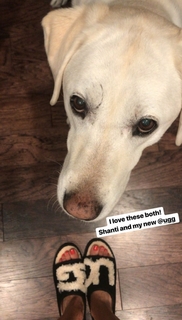 Liberte Chan feet photo thumbnail