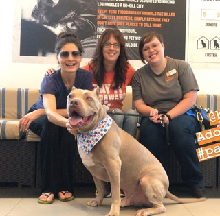 Liberte Chan feet photo thumbnail