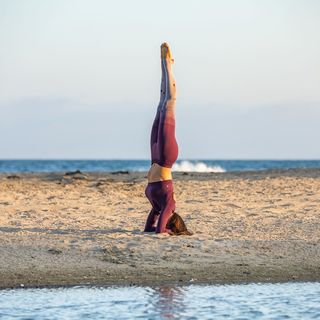 Liberte Chan feet photo thumbnail