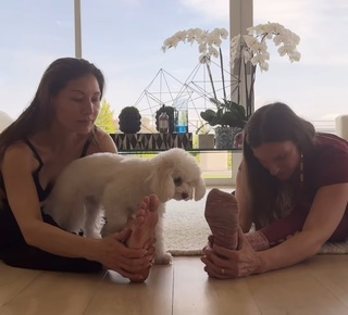 Liberte Chan feet photo thumbnail