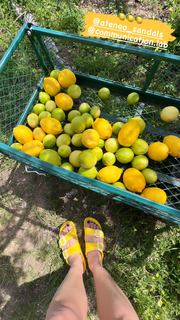 Lila Kountourioti feet photo thumbnail