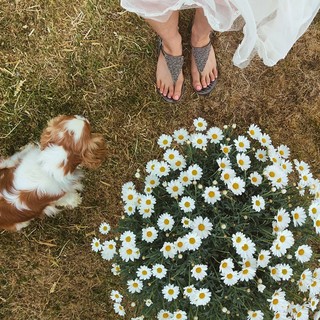 Lilah Parsons feet photo 5