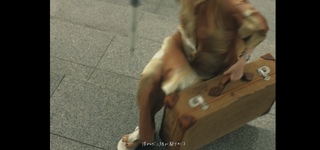 Lilas Ikuta feet photo 12