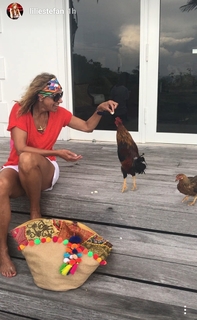 Lili Estefan feet photo thumbnail