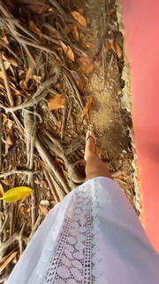 Lili Sepe feet photo 14