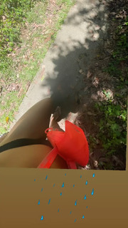 Lili Sepe feet photo 13