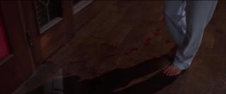 Lili Taylor feet photo 17