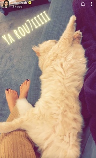 Lilia Al Atrash feet photo thumbnail