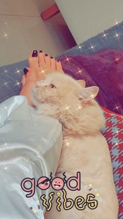 Lilia Al Atrash feet photo thumbnail