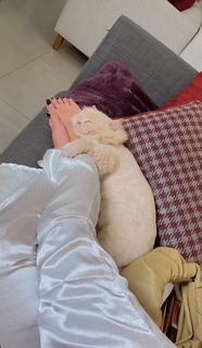 Lilia Al Atrash feet photo thumbnail