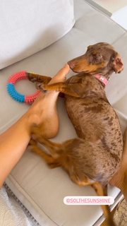 Liliana Santos feet photo 20