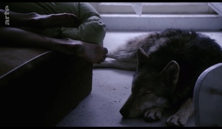 Lilith Stangenberg feet photo 9