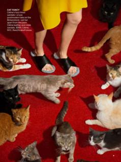 Lily Cole feet photo thumbnail