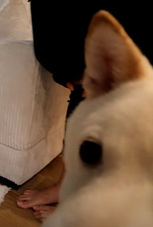 Lily Ki feet photo thumbnail