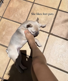 Lily Maymac feet photo thumbnail
