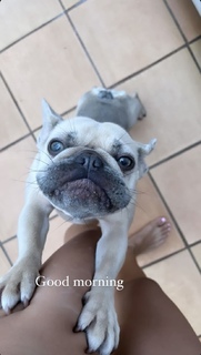 Lily Maymac feet photo thumbnail