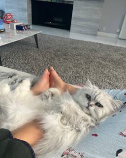 Lily Mo Sheen feet photo 2