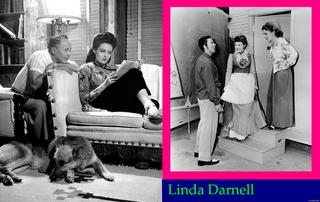 Linda Darnell feet photo 13