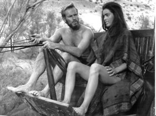 Linda Harrison feet photo 11