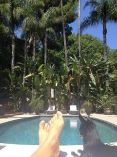 Linda Perry feet photo 3