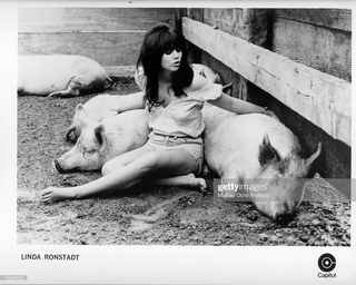 Linda Ronstadt feet photo thumbnail