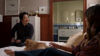 Lindsay Price feet photo 3
