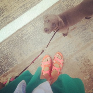 Lindsay Sawyer feet photo 2