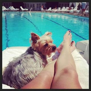 Lindsey Jacobellis feet photo 15