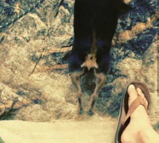 Lindsey McKeon feet photo 1